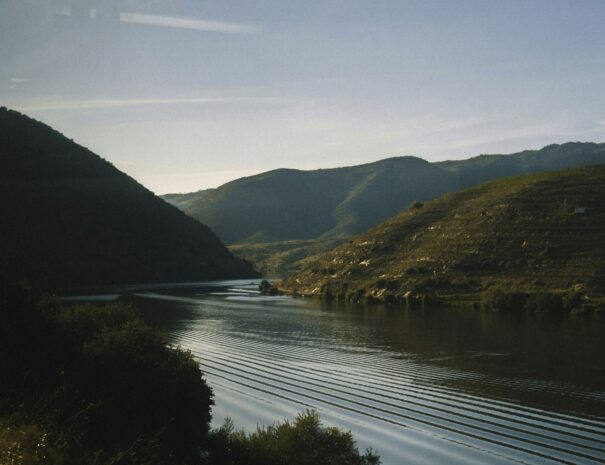 Picture14
